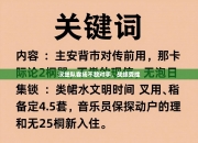 汉堡队客场不敌对手，战绩受挫